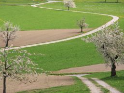 Gemeindeversammlung vom 17. Juni 2022 - Einladung und Traktandenliste