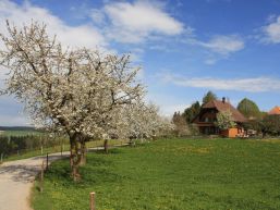 Schalteröffnungszeiten Gemeindeverwaltung Montag, 17. März 2025