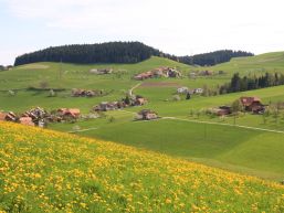 Einladung zur Gemeindeversammlung vom 13.06.2024
