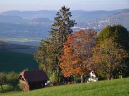 Informationen aus dem Gemeinderat Oktober 2023
