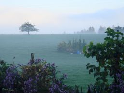 Gemeindeversammlung vom 2. Dezember 2020