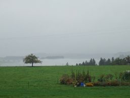 Gemeindeversammlung vom 5. Dezember 2024