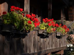 Informationen aus dem Gemeinderat August / September