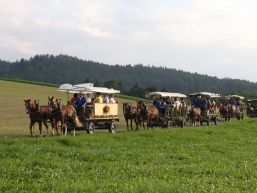 Privater Fahrdienst (Mitfahrgelegenheiten)