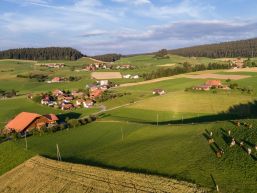 Mitteilungen aus dem Gemeinderat - September 2025