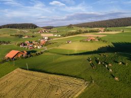 Kurzmeldungen aus dem Gemeinderat Juli / August 2022