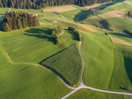 Sanierung Scheibenstand