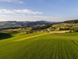Gemeinderat - Kurzmeldungen Mai/Juni 2022