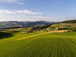 Gemeindeversammlung vom 11. Juni 2021 - Ergebnisse