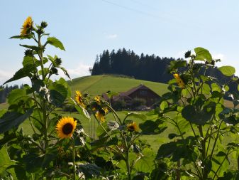 Nächste Altstoff- und Velosammlung im Herbst 2026