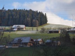 Notfalltreffpunkt - Genehmigung