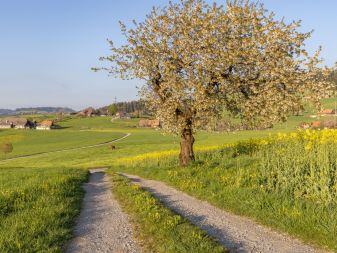 Mitteilungen aus dem Gemeinderat März 2026