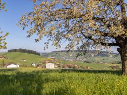 Betrieb Grüngutsammelstelle