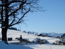 Informationen aus dem Gemeinderat Dezember 2024 bis Februar 2025