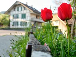 Personelles Hauswartschaft