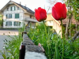 Öffnungszeiten Gemeindeverwaltung