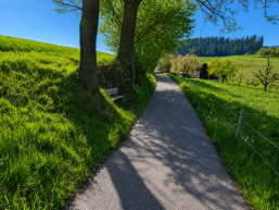 Sanierung Farnhaldeweg