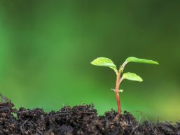 Eröffnung Grüngutsammelplatz Grossmatthof - neuer Standort