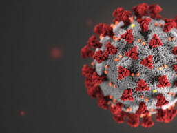 Informationen und Massnahmen zum Coronavirus
