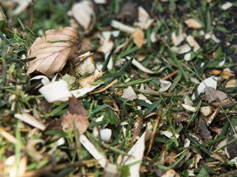Grüngutsammelplatz Grossmatthof - Winteröffnungszeit
