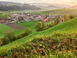 Kurzmitteilungen aus dem Gemeinderat - September 2025