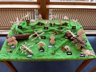 Bild Krabbeltier-Museum Kindergarten A