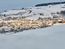 Ressortzuteilung Gemeinderat / Neu- und Wiederwahlen für die Legislatur 2024 bis 2027