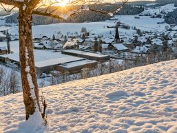 Orts- und Verkehrsverein Zäziwil - Dorf-Adventskalender