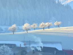 Ressortverteilung im Gemeinderat